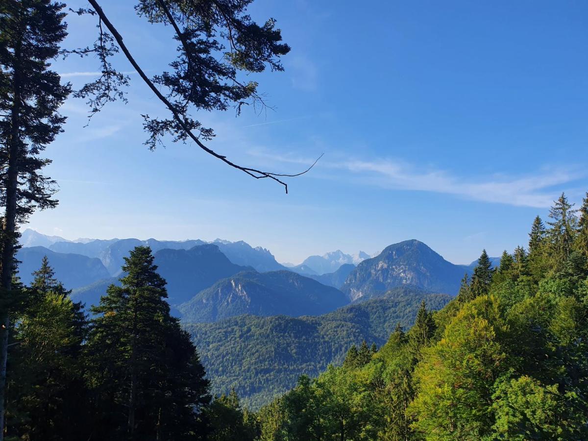Ferienwohnungen Gaestehaus Laercheck Berchtesgaden Kültér fotó