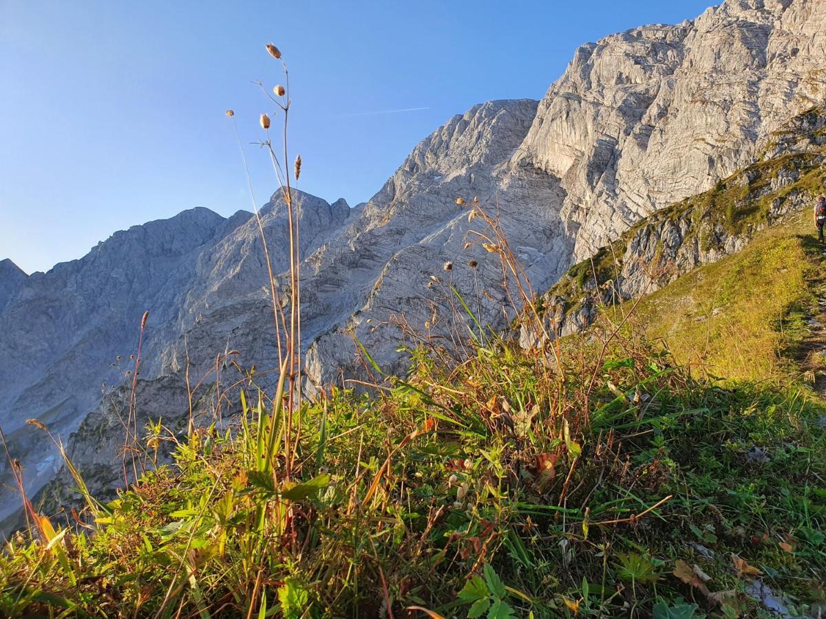 Ferienwohnungen Gaestehaus Laercheck Berchtesgaden Kültér fotó